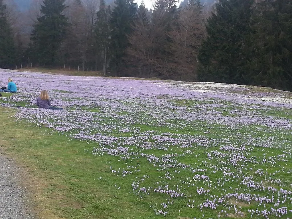 Landhaus Seehof Fussen Guest house